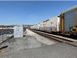 ARMN 110496